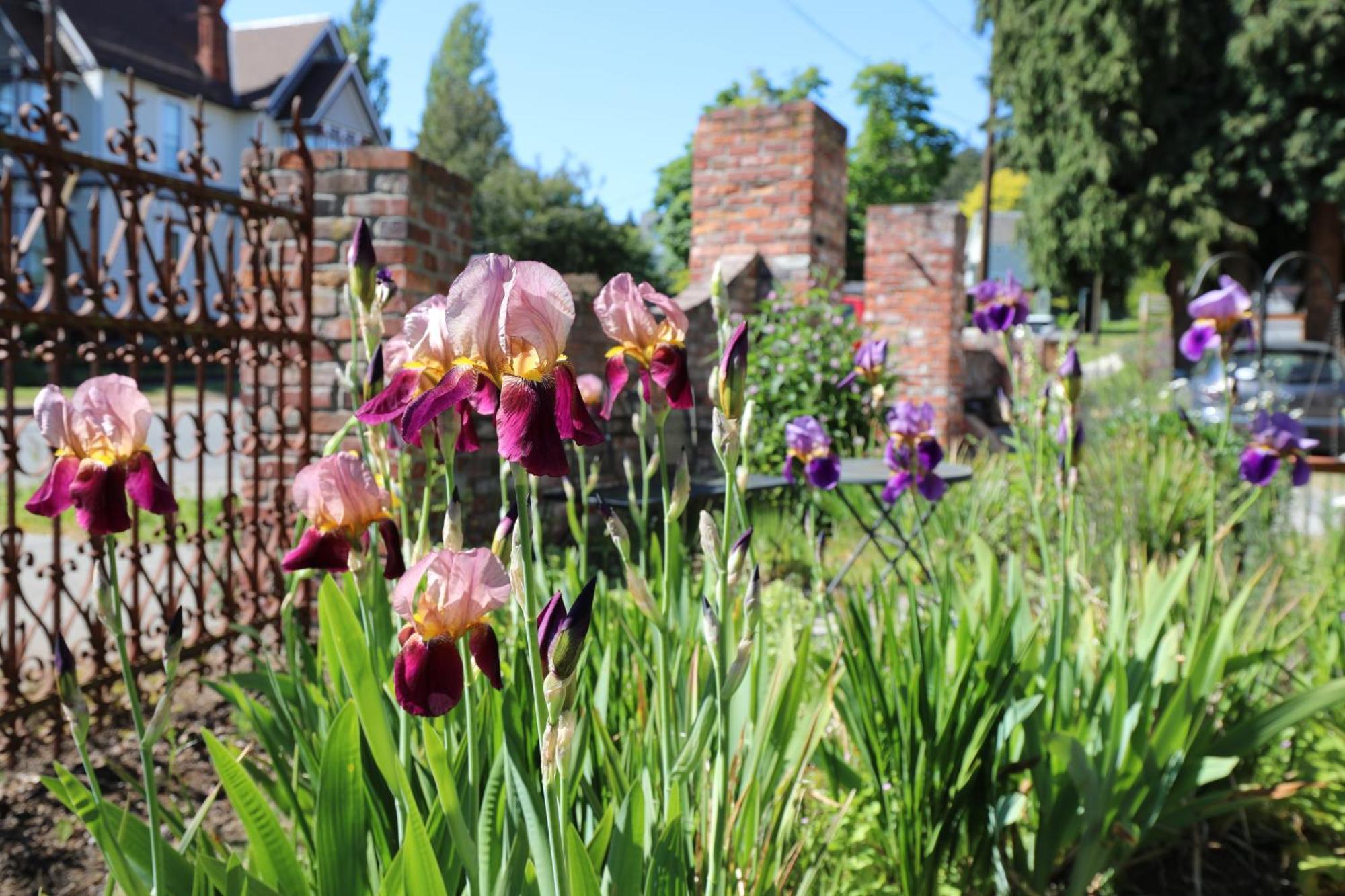 Adams Pragge House - Victorian Bed & Breakfast Port Townsend Exterior foto